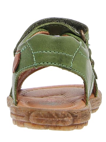 Naturino Leder-Sandalen in Grün