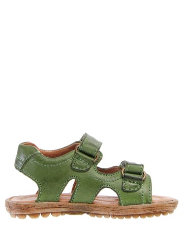 Naturino Leder-Sandalen in Grün