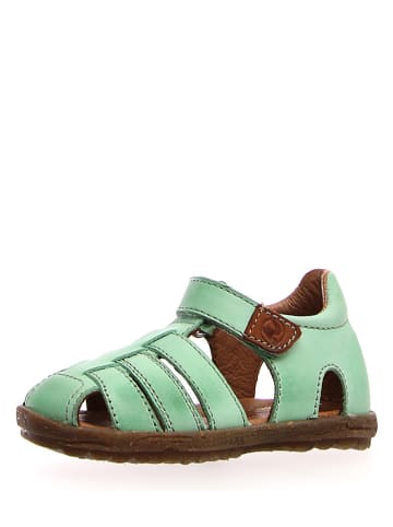 Naturino Leren enkelsandalen groen