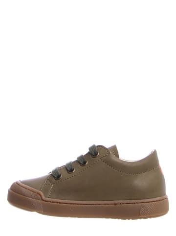 Naturino Leren sneakers kaki