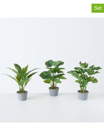 Boltze 3-delige set: decoratieve planten groen - (H)35 x Ø 25 cm