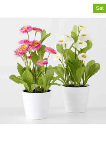 Boltze Sztuczne rośliny (2 szt.) w kolorze różowo-białym - wys. 30 x Ø 9 cm