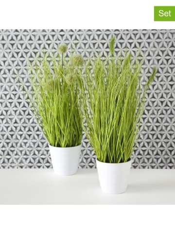 Boltze 2-delige set: decoratieve kunstplanten "Gras" groen - (H)44 x Ø 12 cm