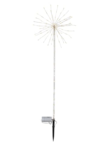 STAR Trading Ledtuinsteker "Firework Outdoor" transparant - (B)36 x (H)100 cm