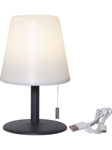 STAR Trading Zewnętrzna lampa LED "Gardenlight" w kolorze czarno-białym - wys. 26,5 cm
