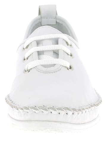 Andrea Conti Skórzane trzewiki w kolorze białym