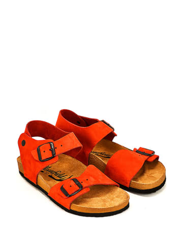 Moosefield Leder-Sandalen in Rot