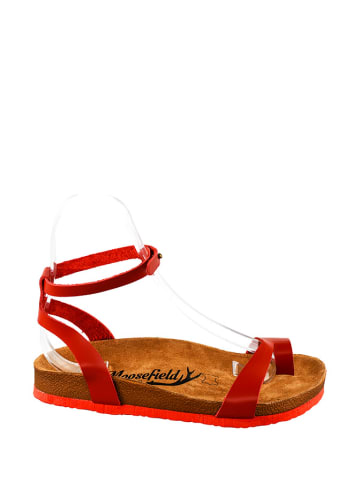 Moosefield Leren sandalen rood