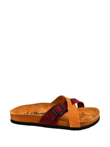 Moosefield Leren slippers bruin/bordeaux