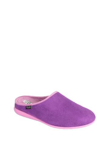 Scholl Kapcie w kolorze fioletowym