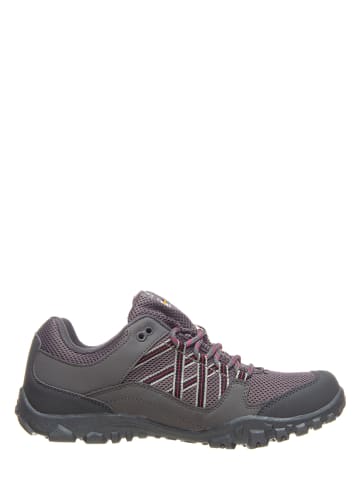 Regatta Wanderschuhe "Edgepoint III" in Grau