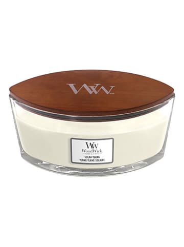 WoodWick Średnia świeca zapachowa - Solar Ylang - 453,6 g