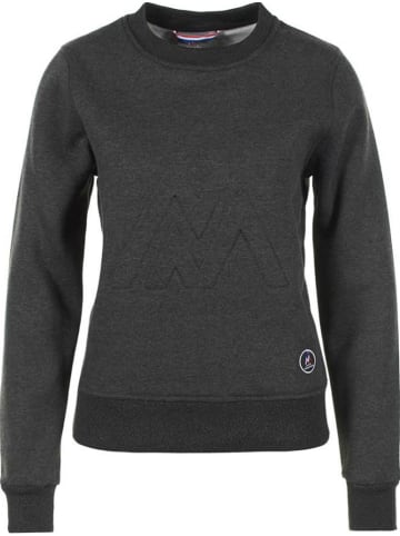 Sweatshirt in Grau