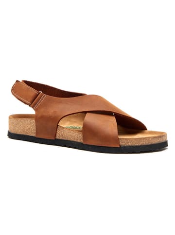 Leren sandalen bruin