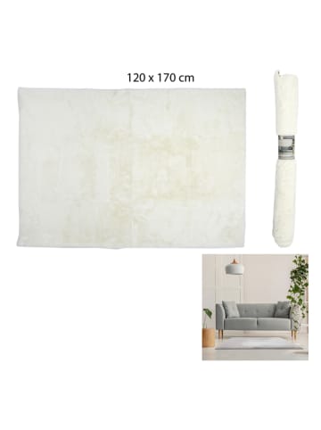 Kurzflor-Teppich in Creme - (L)170 x (B)120 cm
