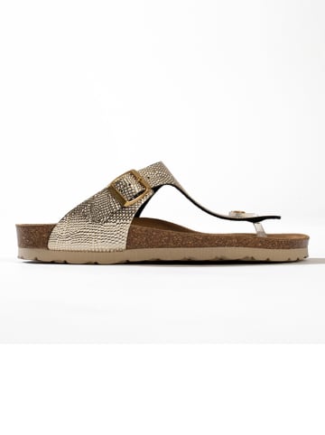 Zehentrenner "Singapore" in Gold