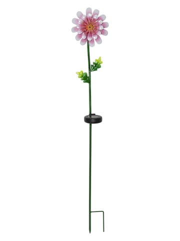 LED-Solar-Gartenstecker "Pink Daisy" in Bunt - (B)15 x (H)81 x (T)12 cm