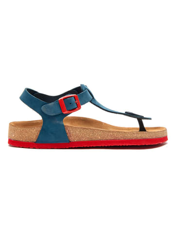 Leder-Zehensandalen in Blau/ Rot
