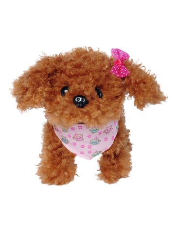 Hund "ChiChi Love Tea Cup Poodle Puppy" - ab 3 Jahren