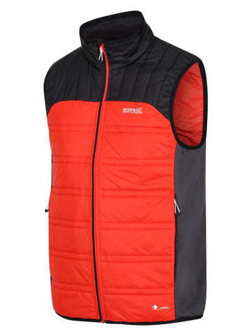 Steppweste "Halton" in Rot/ Schwarz