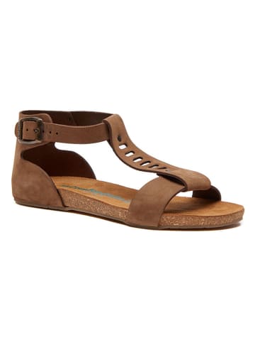 Leder-Sandalen in Braun