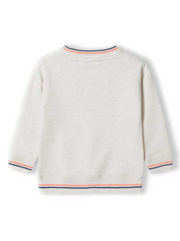 Sweatshirt in Beige