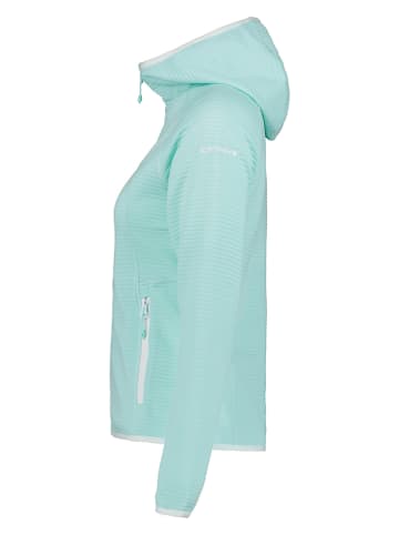 Fleecejacke "Berryville" in Türkis