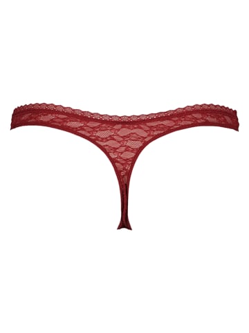 String in Bordeaux