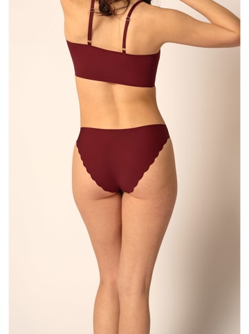 Slip bruin
