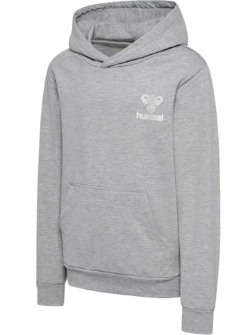 Hoodie "Proud" in Grau