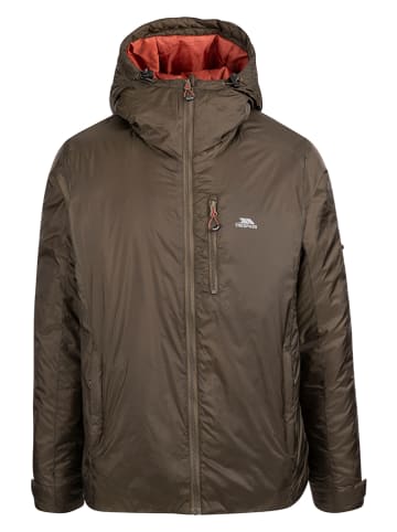 Winterjacke "Pardshaw" in Khaki