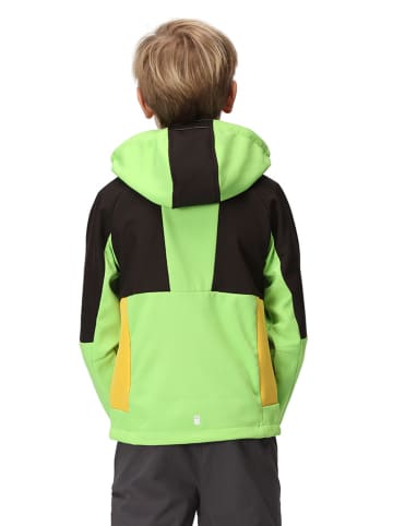 Softshelljacke "Haydenbury" in Grün