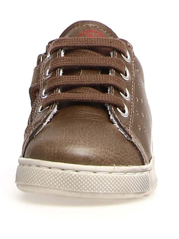 Leren sneakers "Hasselt" bruin