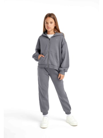 Sweatjacke in Grau