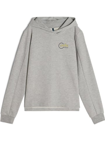 Bluza w kolorze szarym