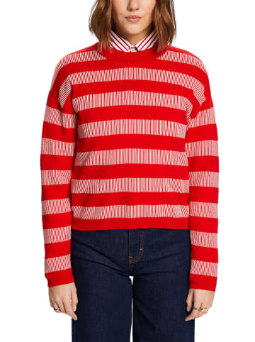 Pullover in Rot/ Weiß