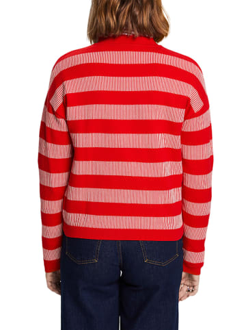 Sweter w kolorze czerwono-białym