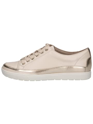 Leder-Sneakers in Beige