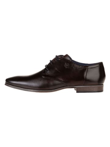 Leder-Schnürschuhe in Braun