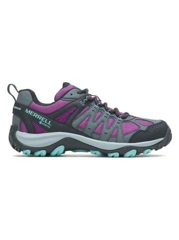Wanderschuhe "Accentor 3 Sport" in Lila/ Grau/ Schwarz