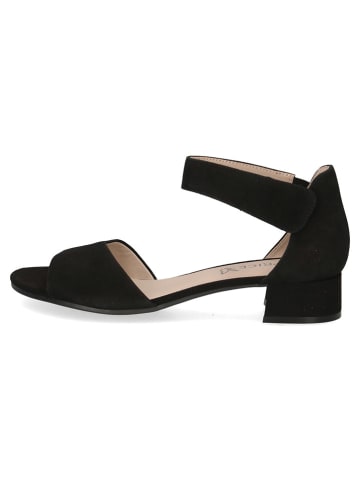 Leder-Sandalen "Carla" in Schwarz