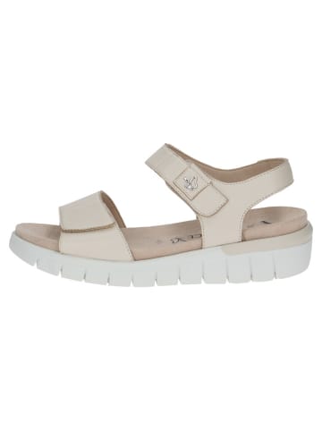 Leder-Sandalen "Babette" in Beige
