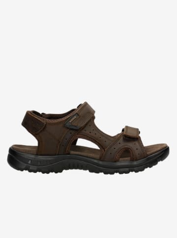 Leder-Sandalen in Braun