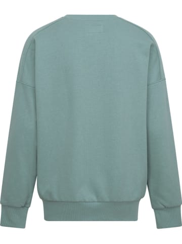 Sweatshirt in Grün