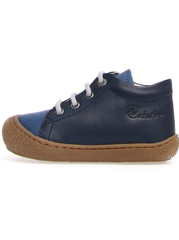 Leder-Sneakers "Cocoon" in Dunkelblau/ Blau