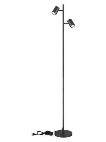 LED-Standleuchte in Grau - (H)158 cm