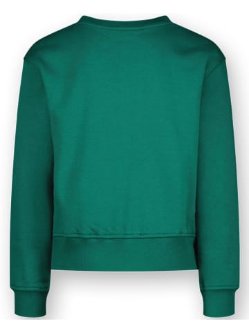 Sweatshirt in Grün