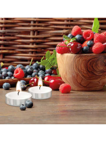 Podgrzewacze (12 szt.) "Fruits rouges"