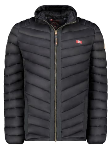 Steppjacke "Carliteak" in Schwarz
