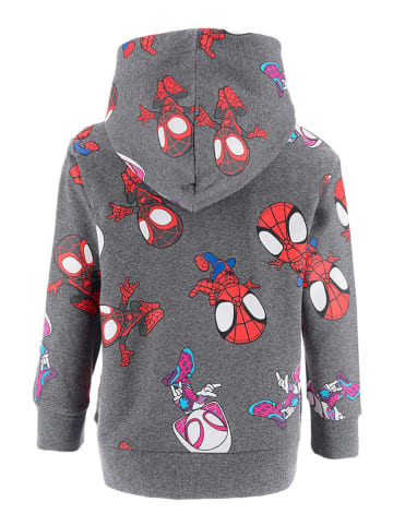 Hoodie "Spidey" grijs
